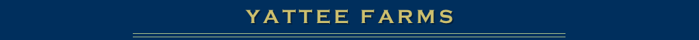 YATTEE FARMS
￼